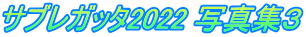 サブレガッタ2022 写真集３